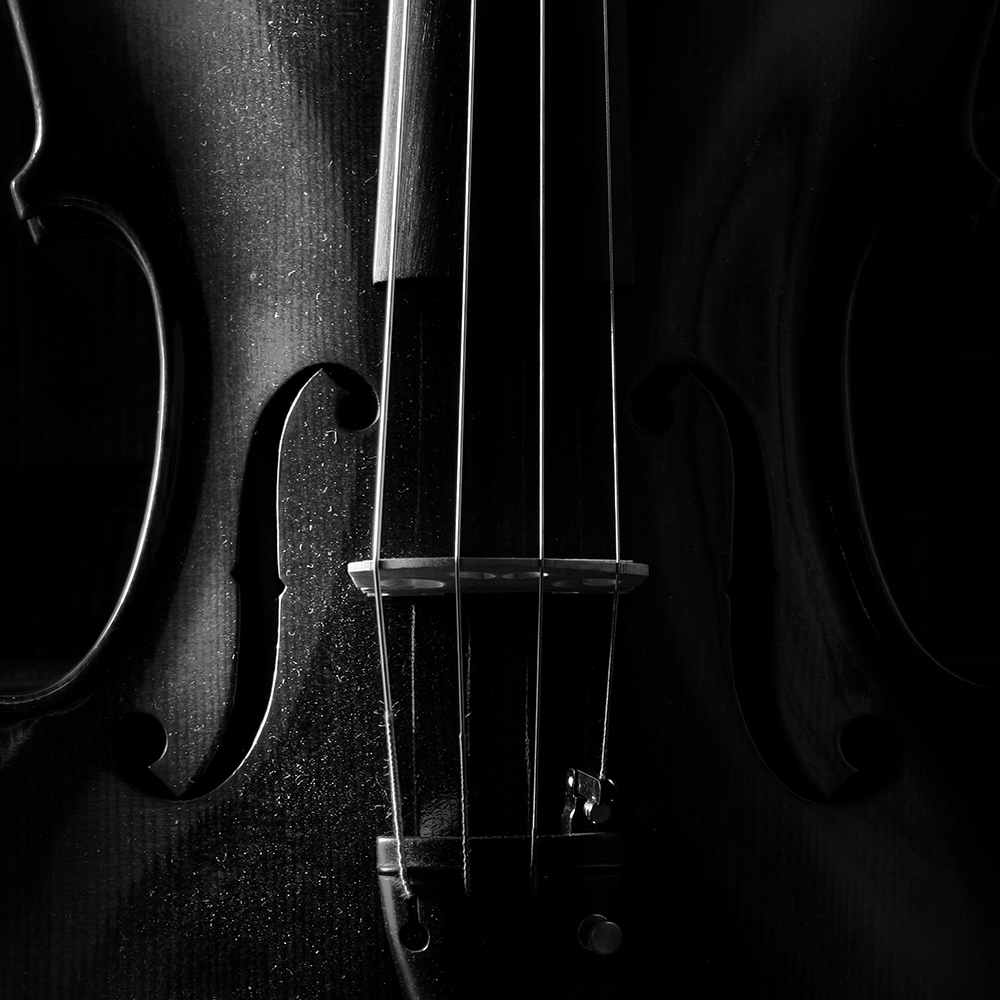 Weavers Violins Bethesda, Maryland