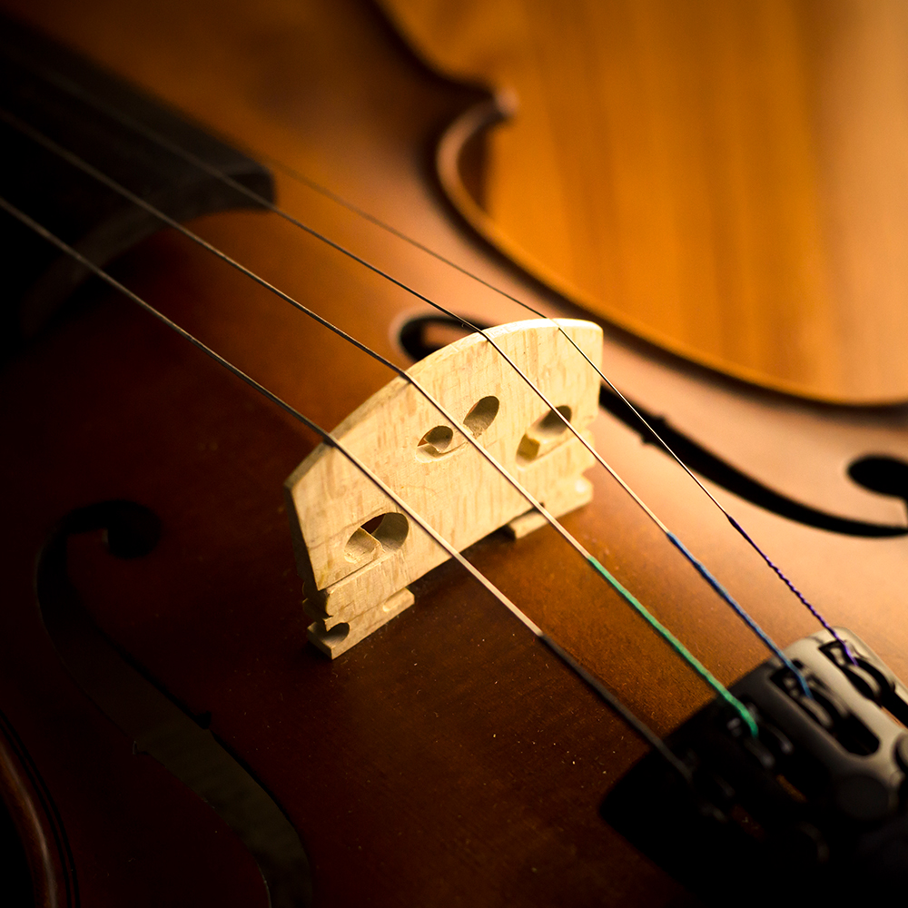 Weavers Violins Bethesda, Maryland